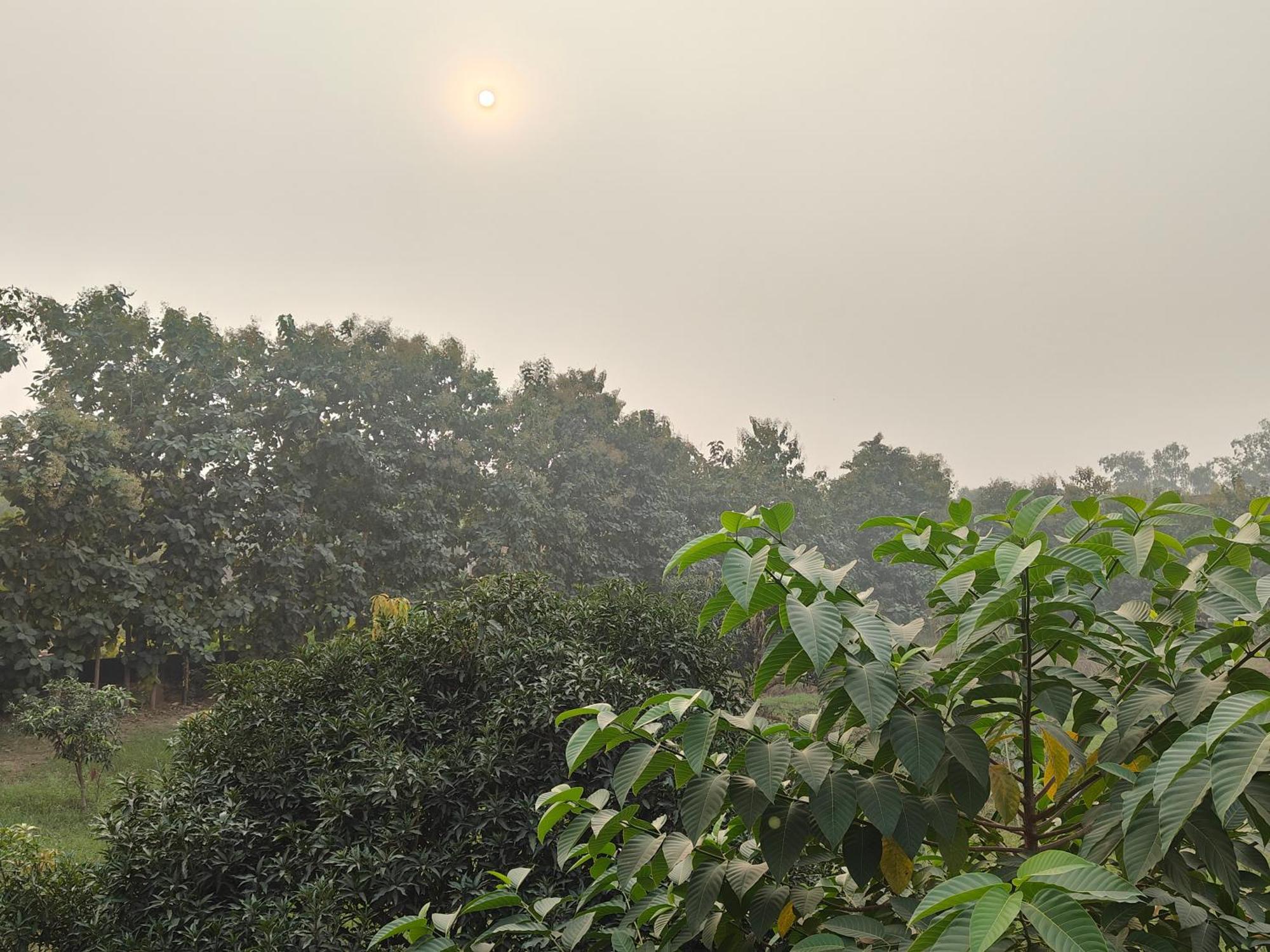 Nature Homestay Varanasi Exterior foto